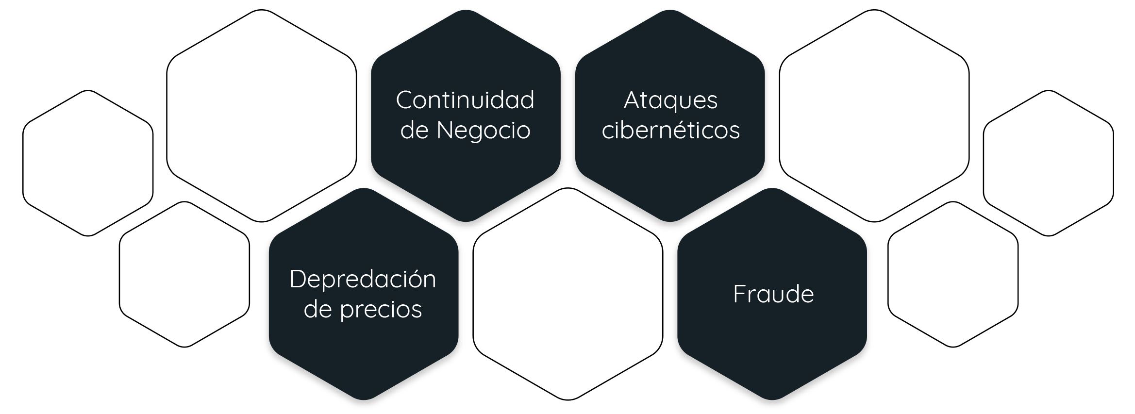 Pulsum Universo de riesgos